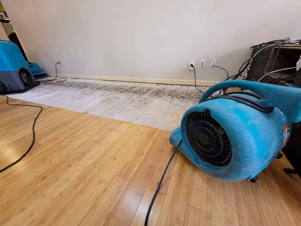 Professional Water Removal technician working in Cedar Lane, TX